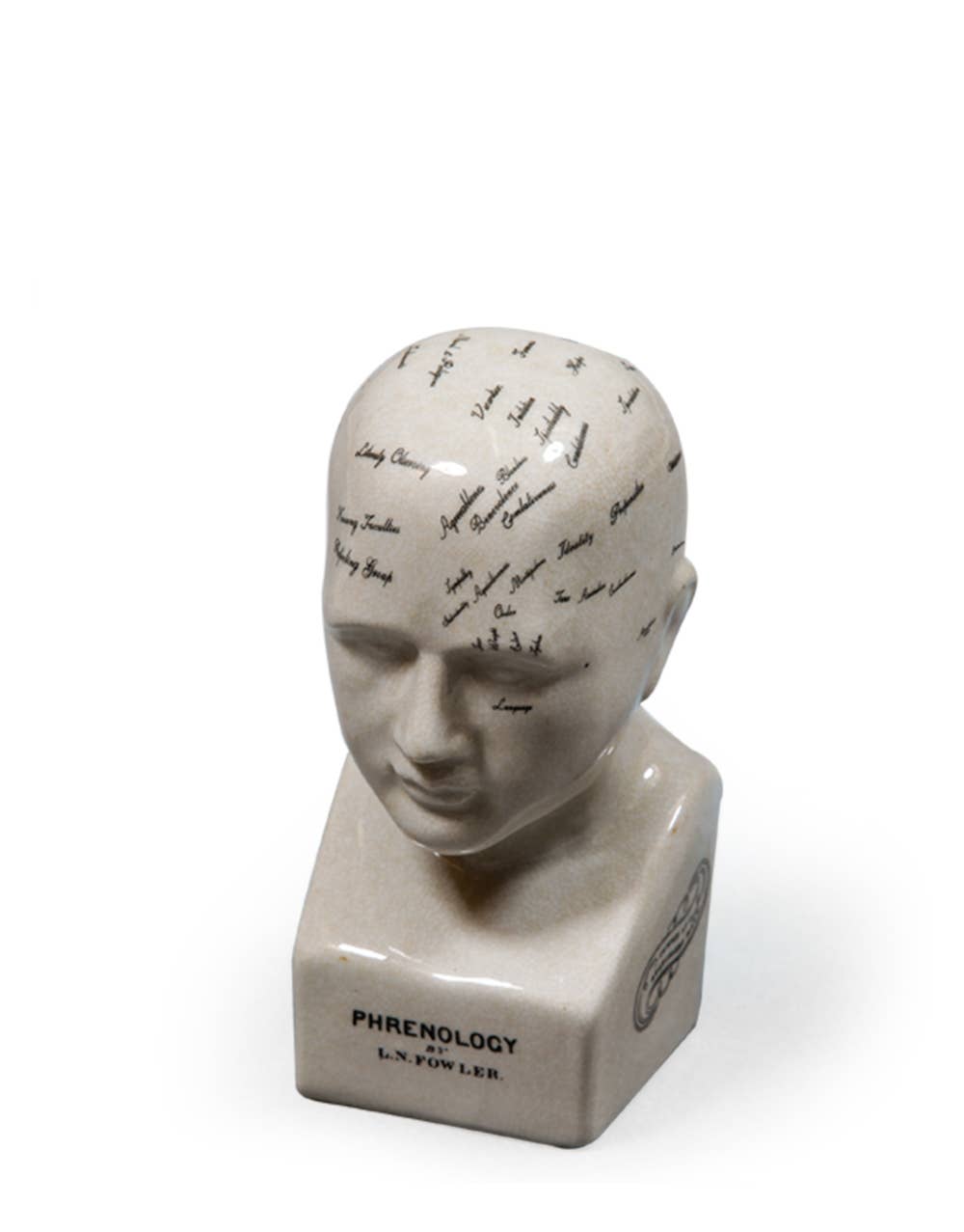 Small Antiqued Ceramic Phrenology Head