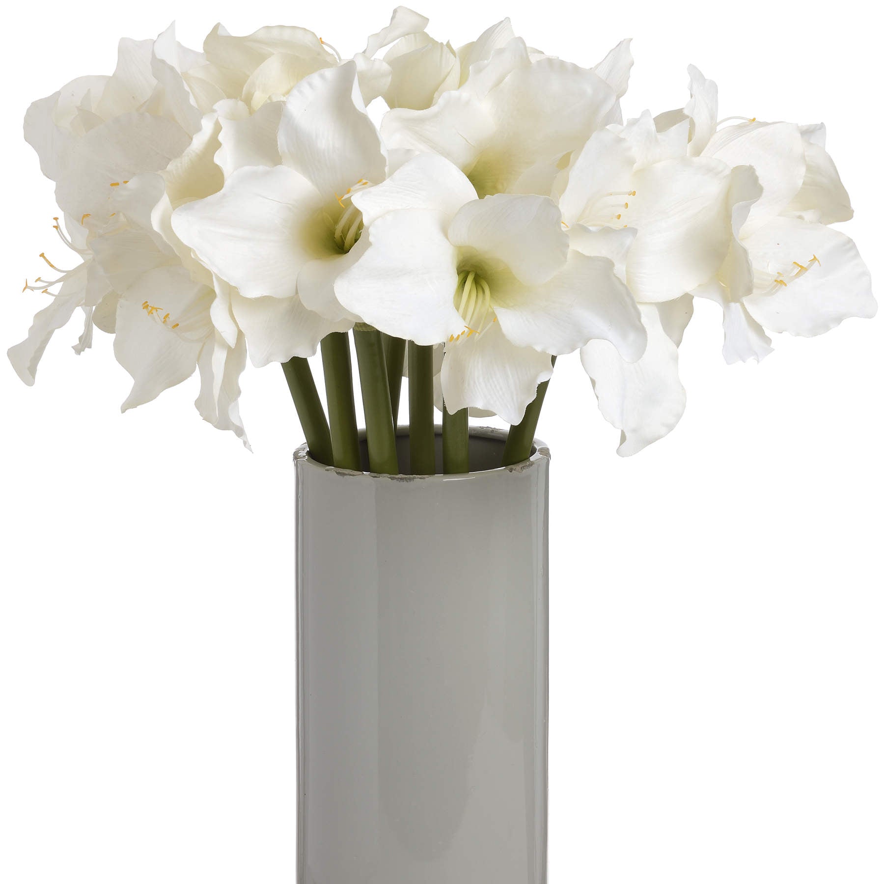 Classic-white-Amaryllis-flower-display