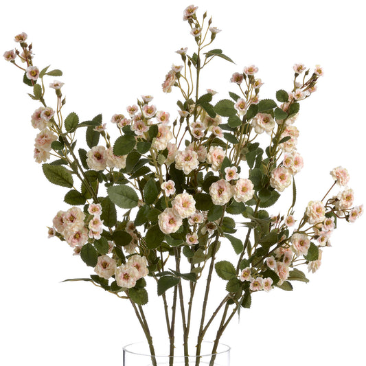 Cream-wild-meadow-rose-decorative