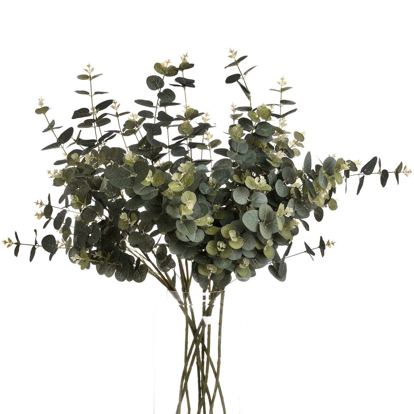 Eucalyptus-spray-display