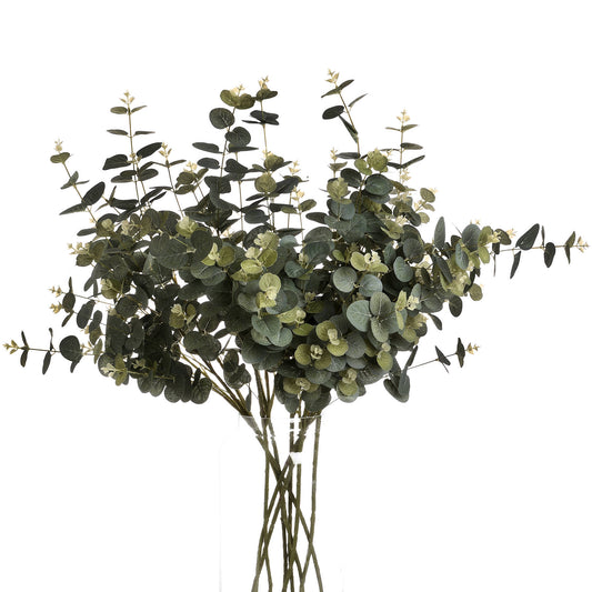 Eucalyptus-spray-display