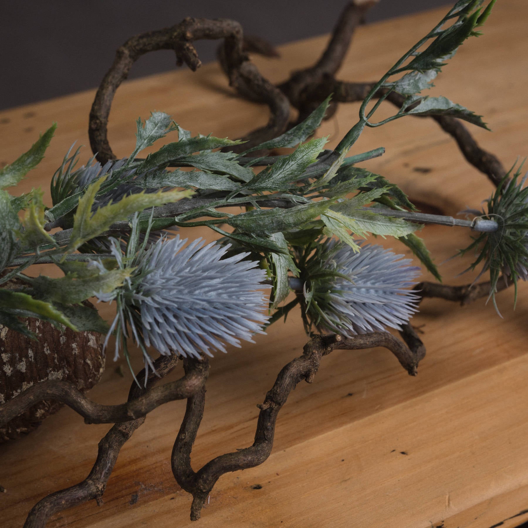 Eryngium-blue-thistle-detail