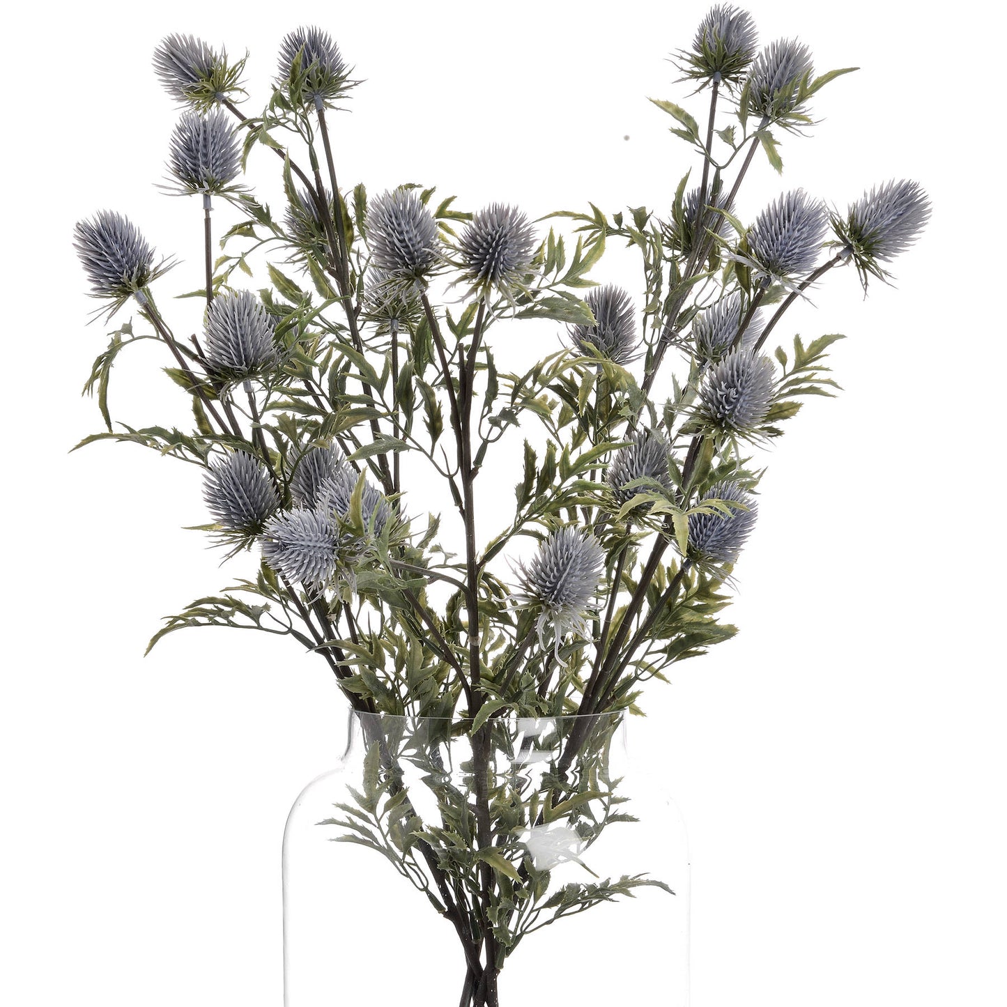 Eryngium-blue-thistle-display