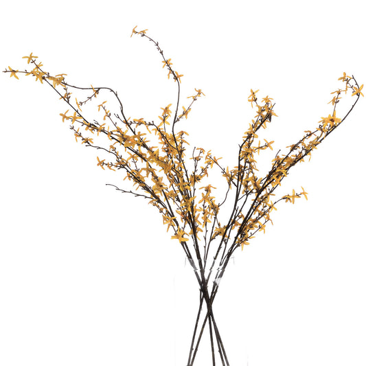 Forsythia-branch