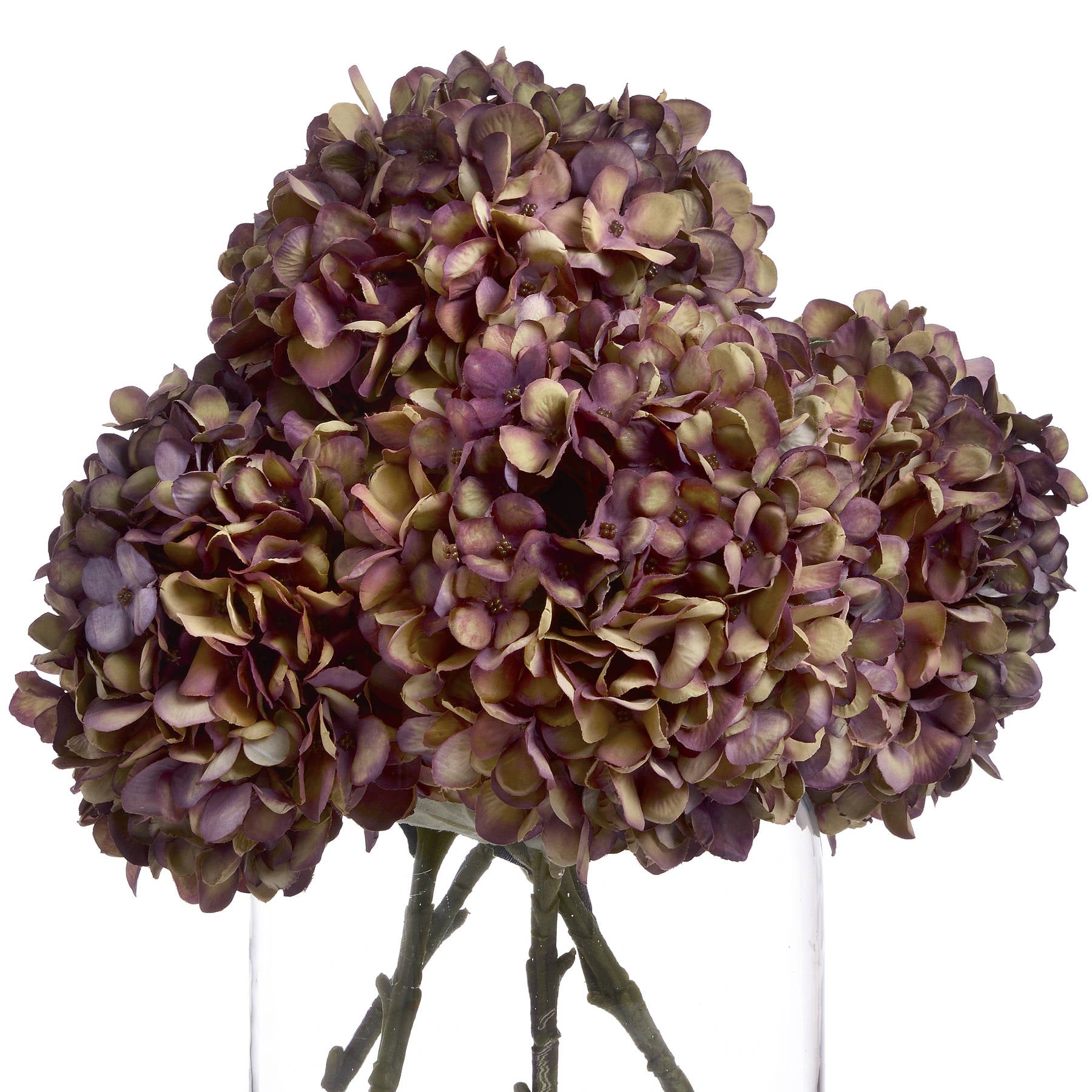 Autumn-burgundy-hydrangea