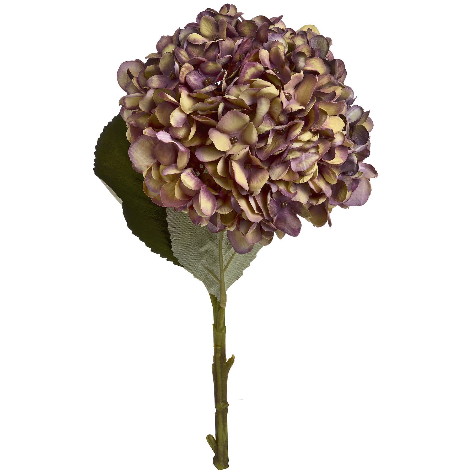 Autumn-burgundy-hydrangea-single-stem