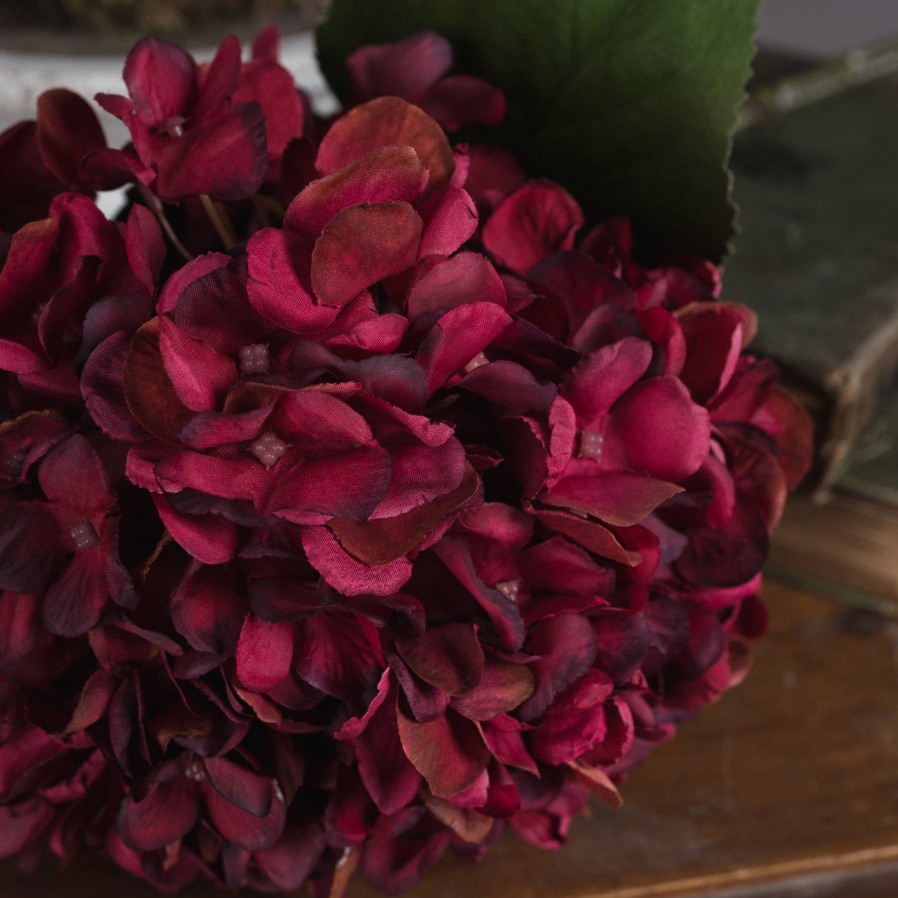 Autumn-ruby-hydrangea-detail