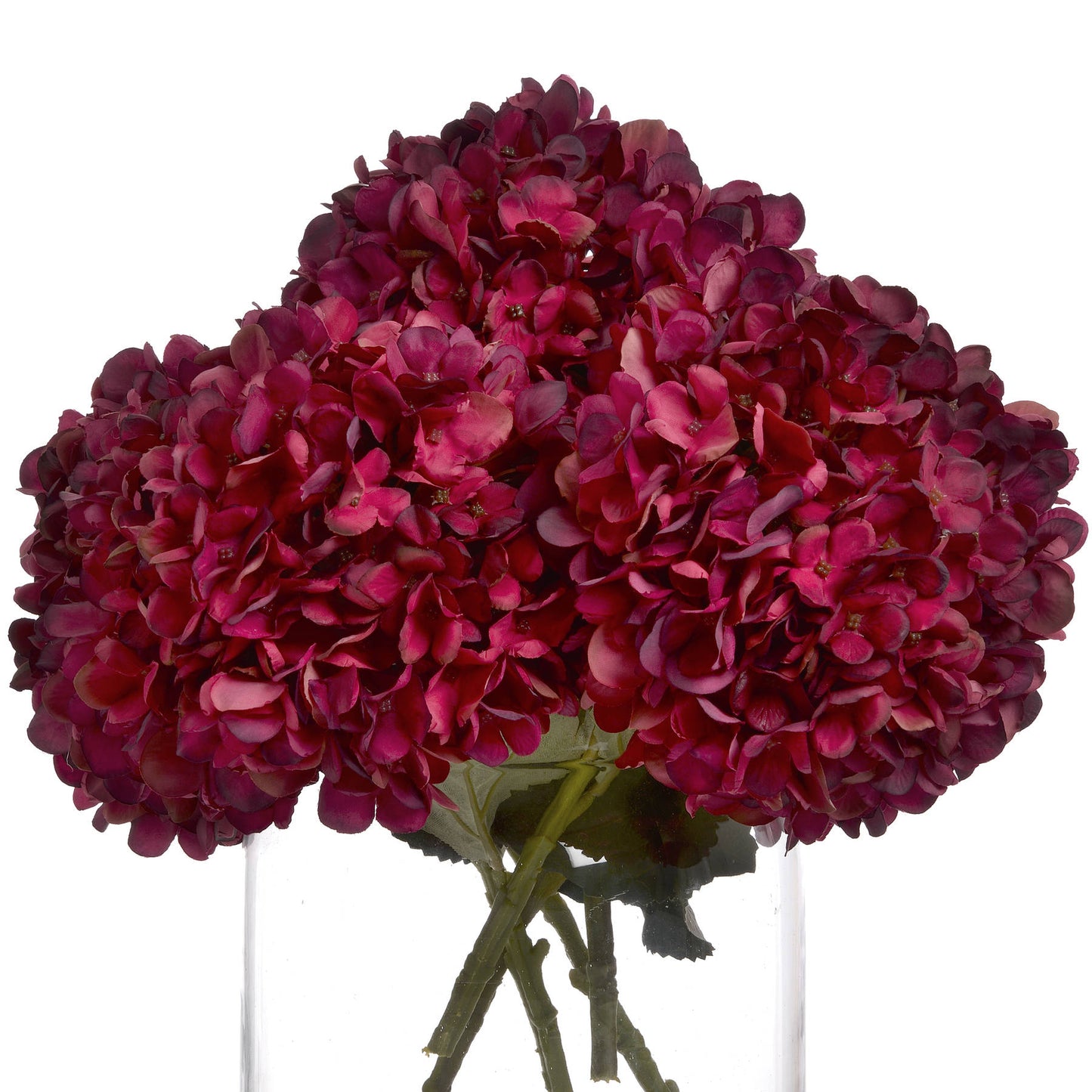 Autumn-ruby-hydrangea