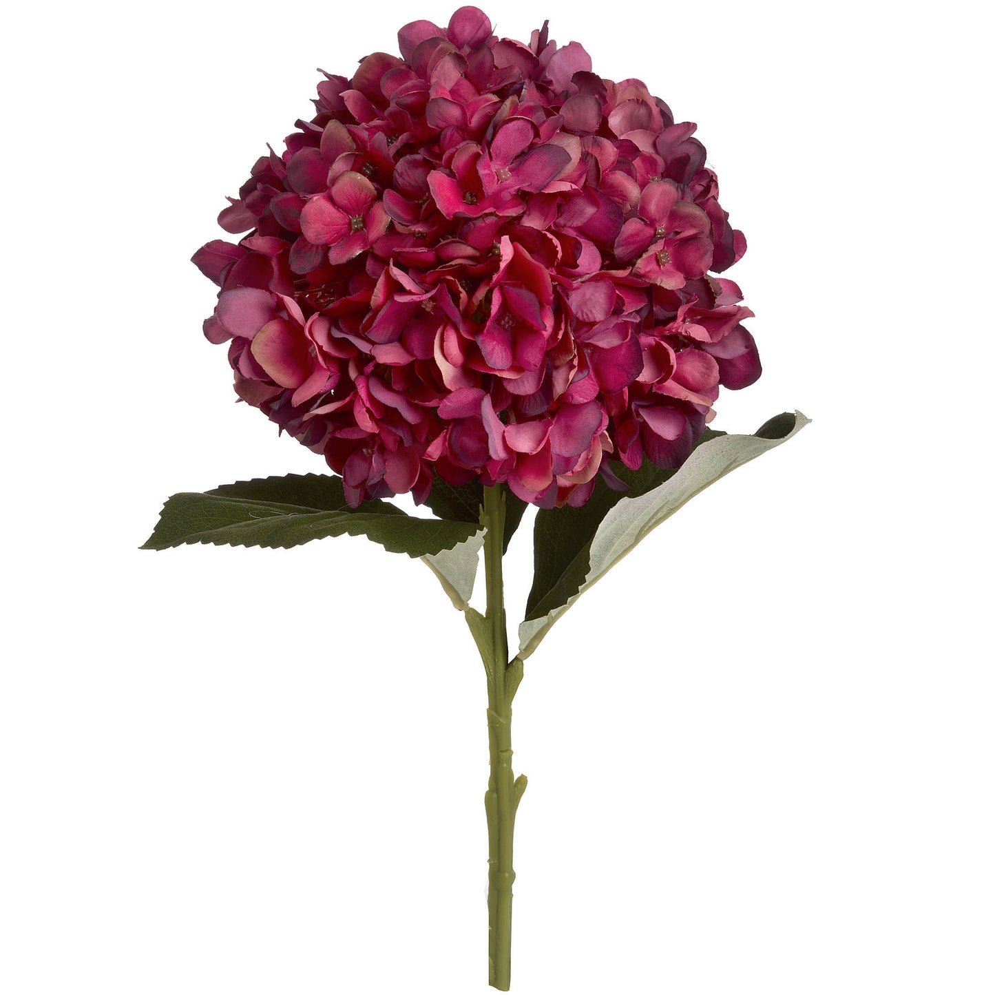 Autumn-ruby-hydrangea-single-stem