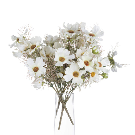 Cream-cosmos-spray-display