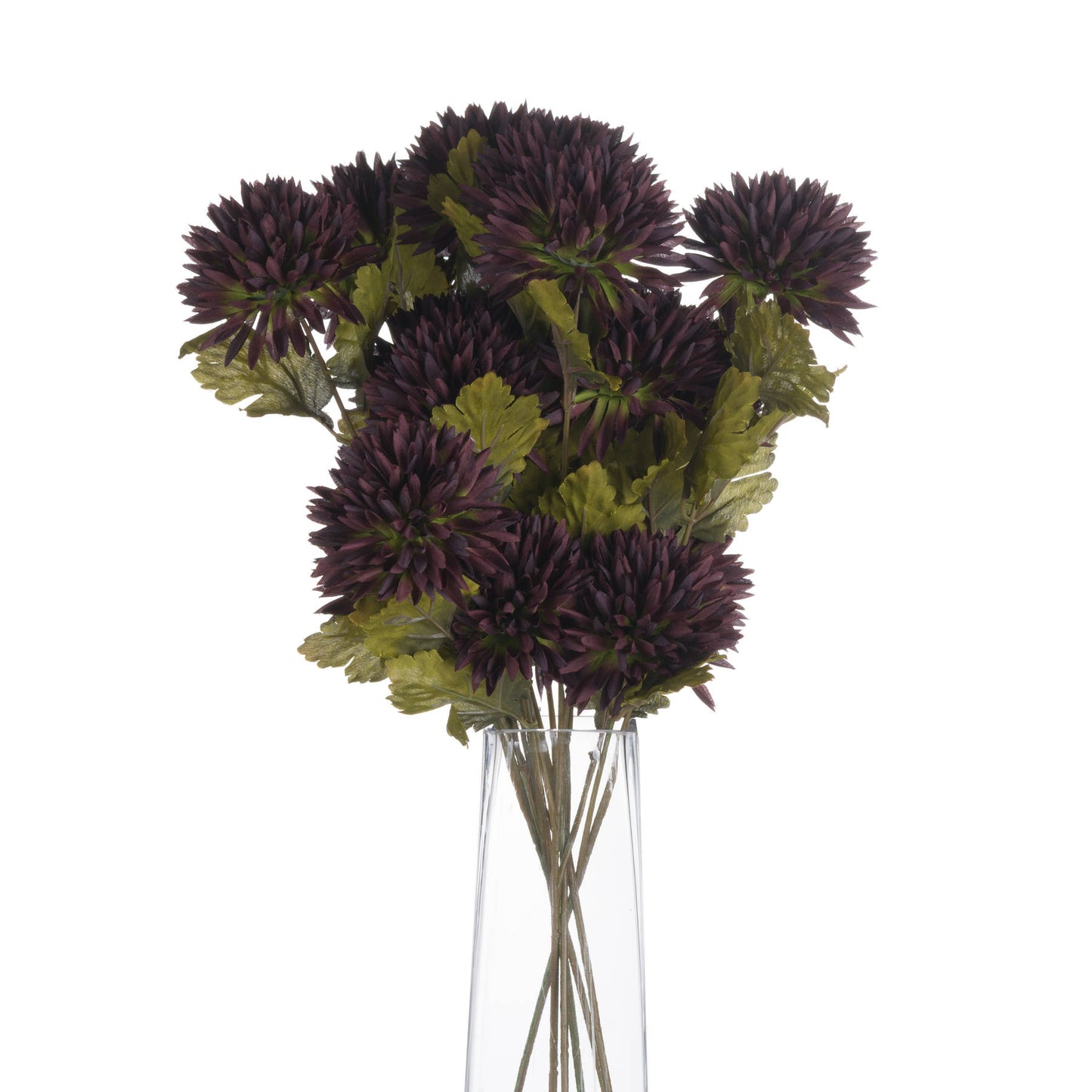 Chocolate-chrysanthemum-display