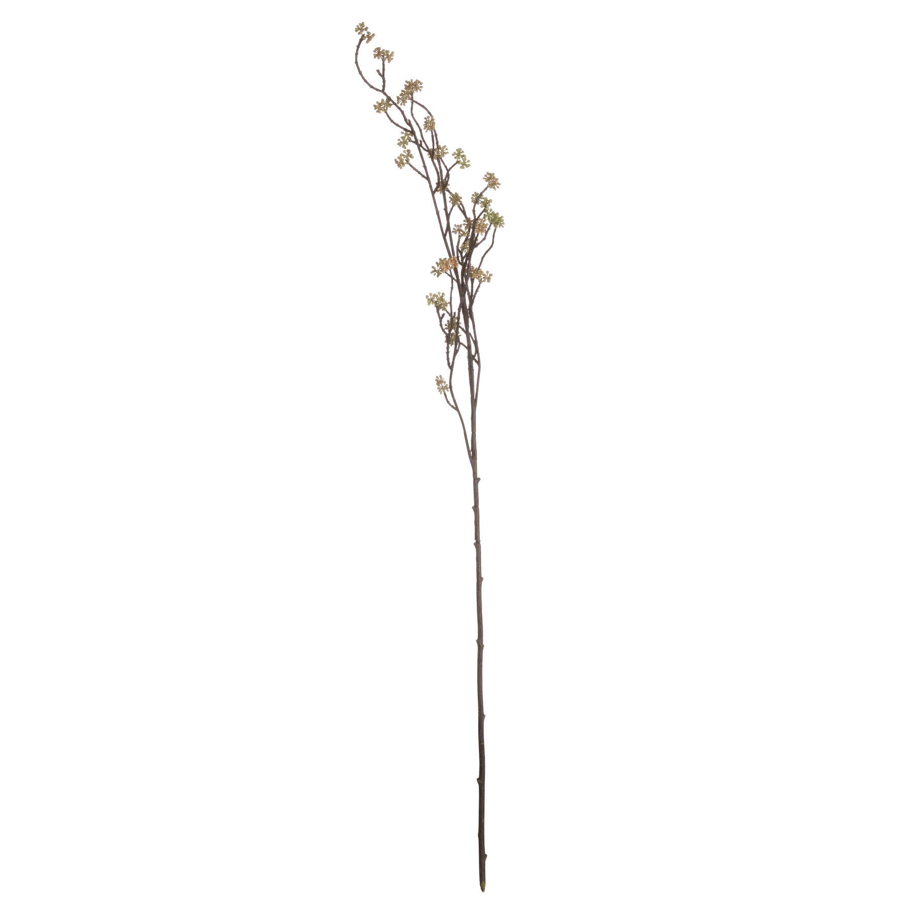 Branch-in-bloom-filler-single-stem