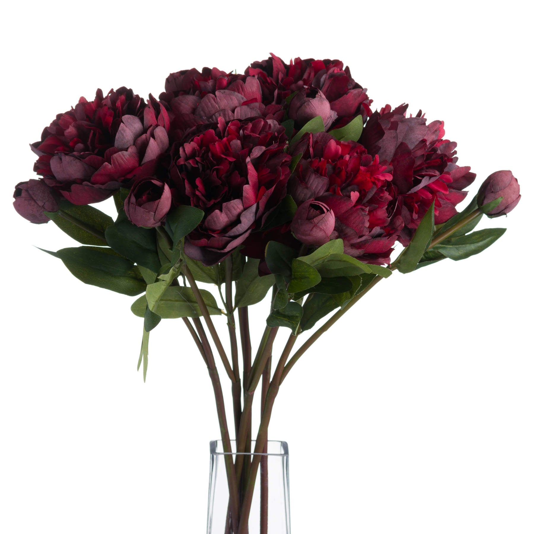 Burgundy-peony-rose