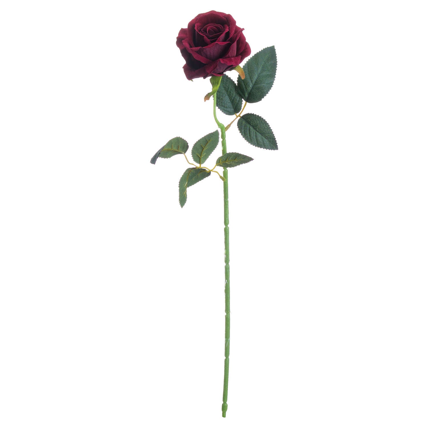 Deep-red-rose-single-stem