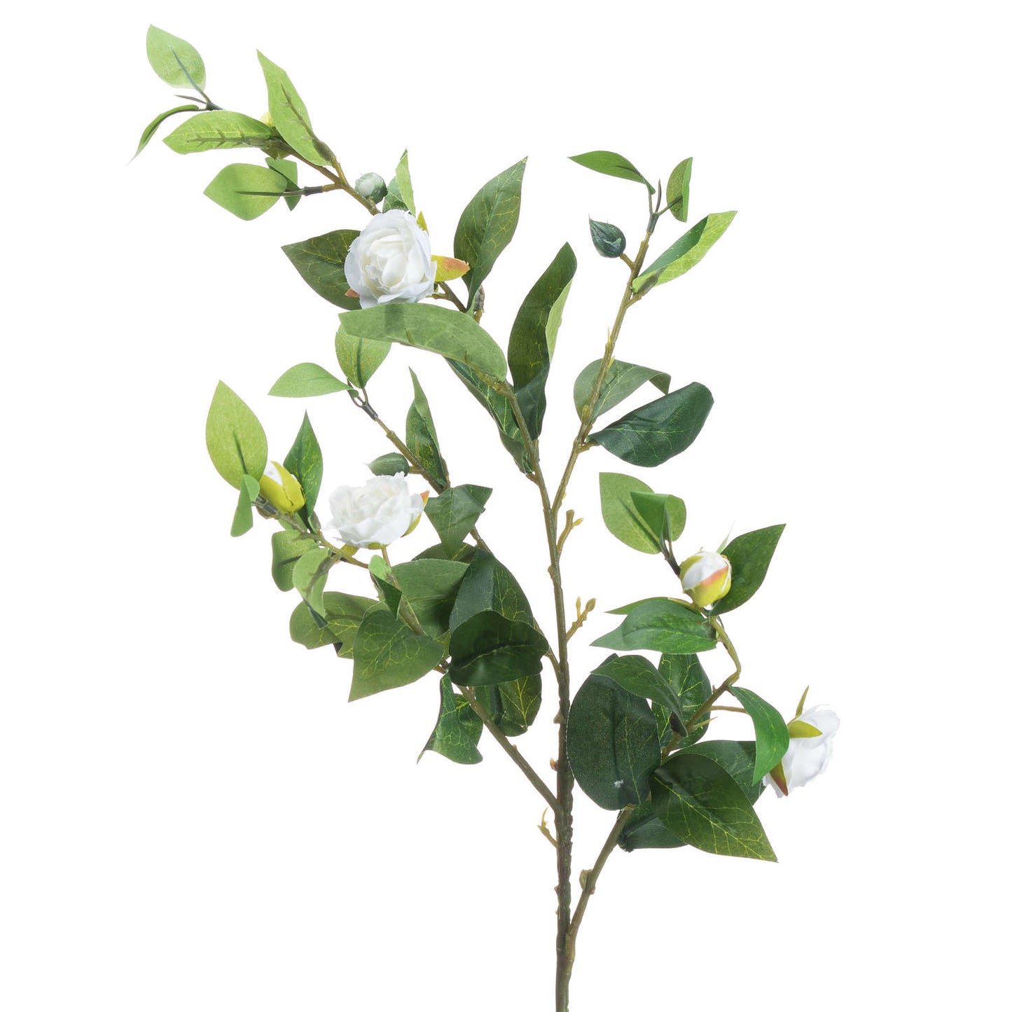 Cream-gardenia-single-stem