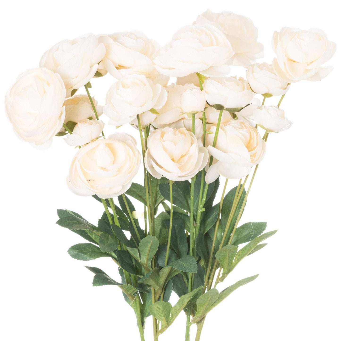 Cream-ranunculus-decorative