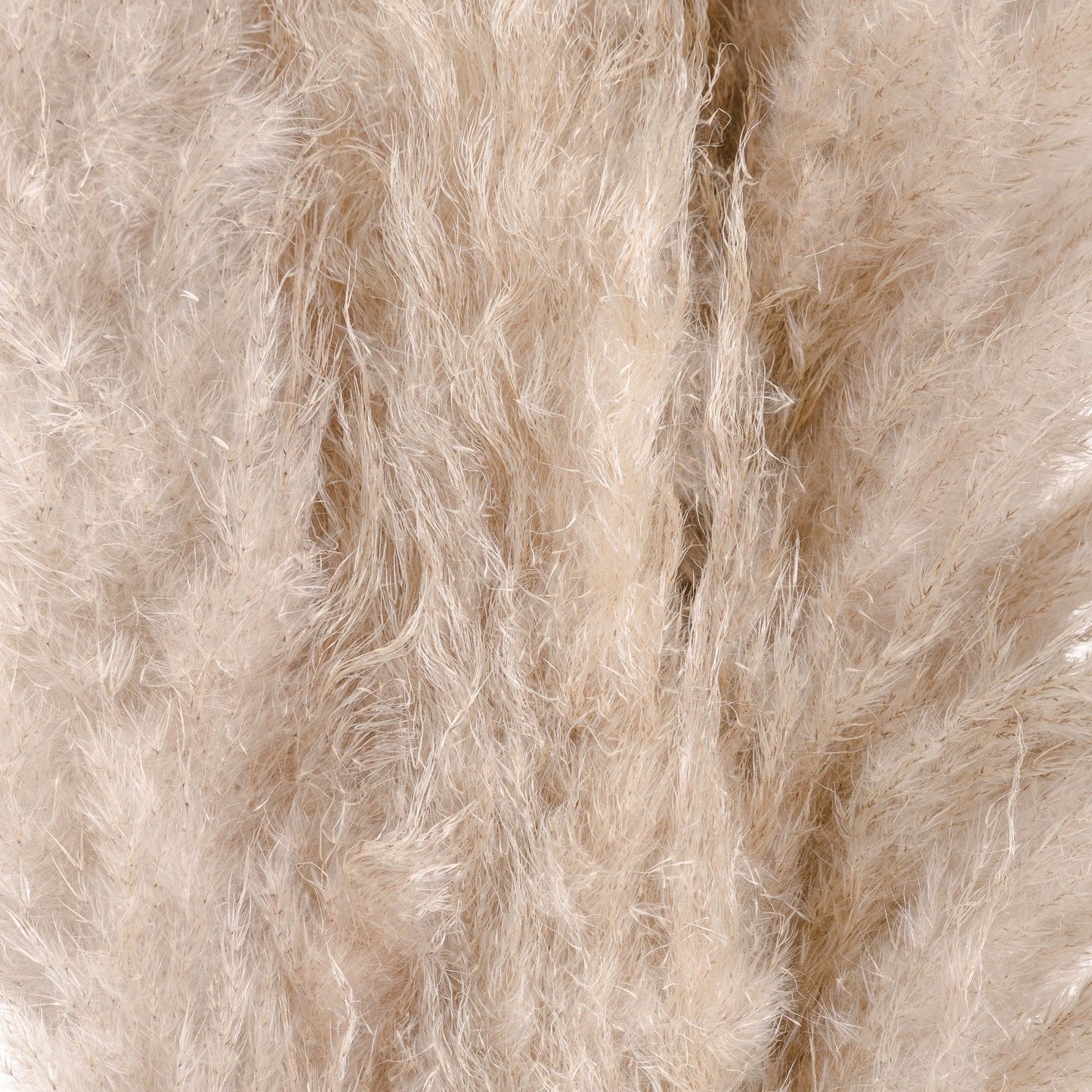 Cream-pampas-grass-detail