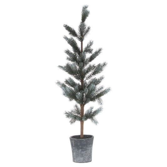 Christmas-fir-tree-in-stone-pot