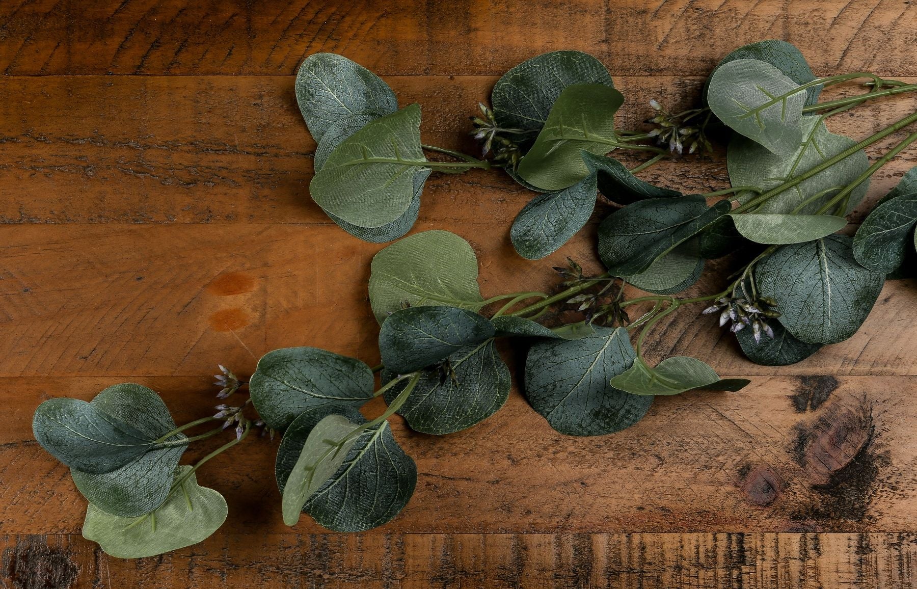 Eucalyptus-stem-spray-detailed