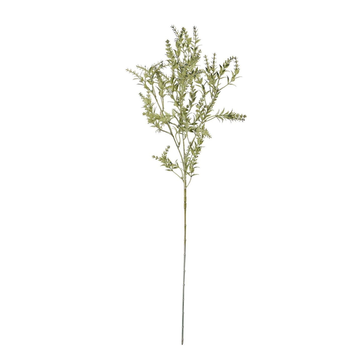 Broom-single-stem