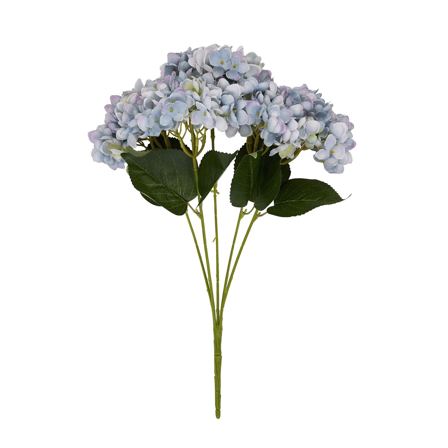 Blue-hydrangea-bunch-detail