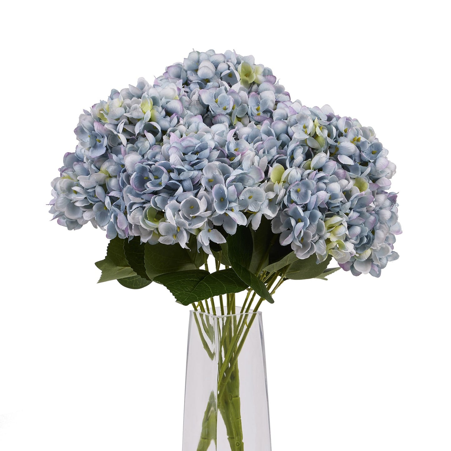 Blue-hydrangea-bunch