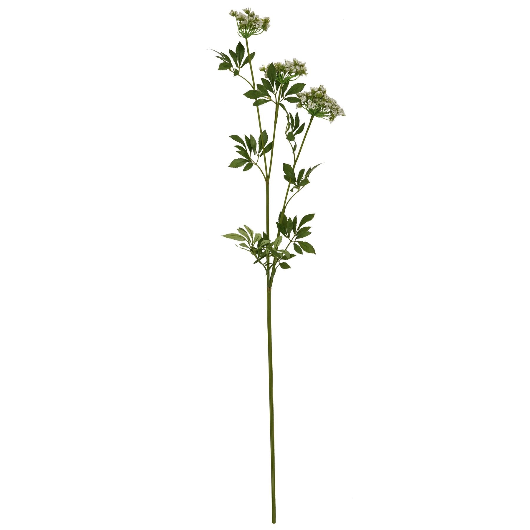 Faux-white-cow-parsley-Ammi-single-stem