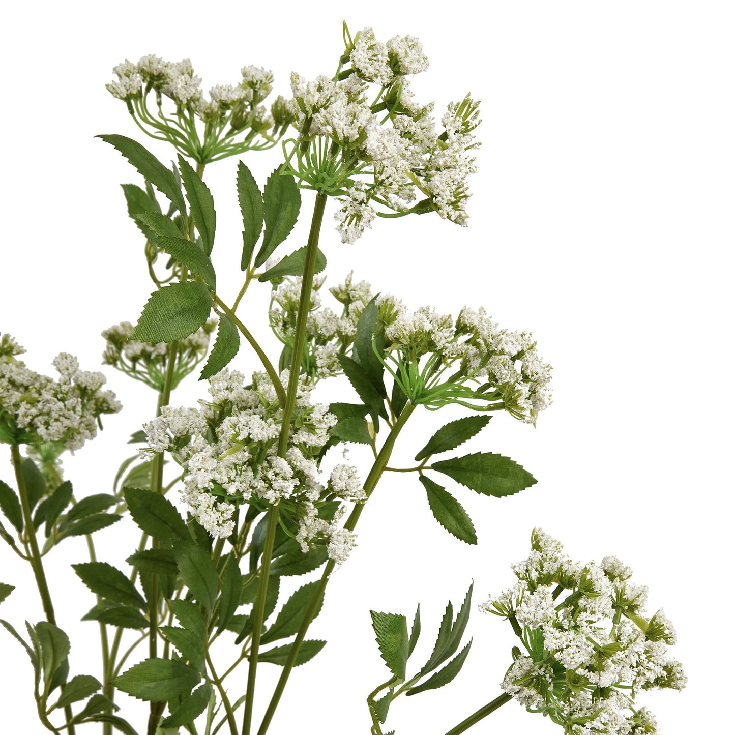 Faux-white-cow-parsley-Ammi-detail