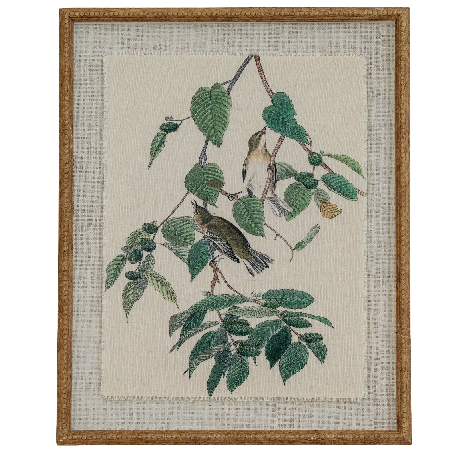 Flora & Fauna Collection Warblers On Linen In Beaded Frame