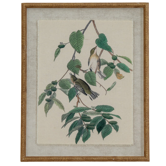 Flora & Fauna Collection Warblers On Linen In Beaded Frame