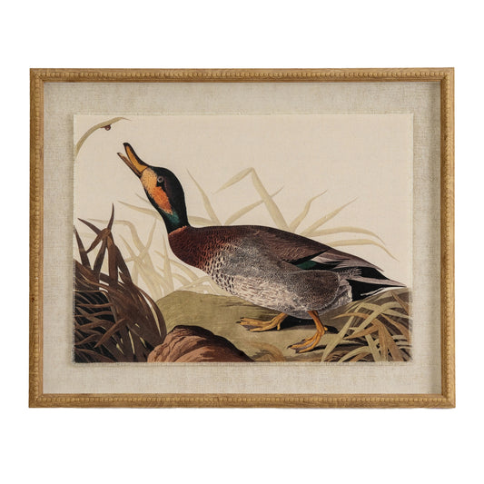 Flora & Fauna Collection Duck On Linen In Beaded Frame