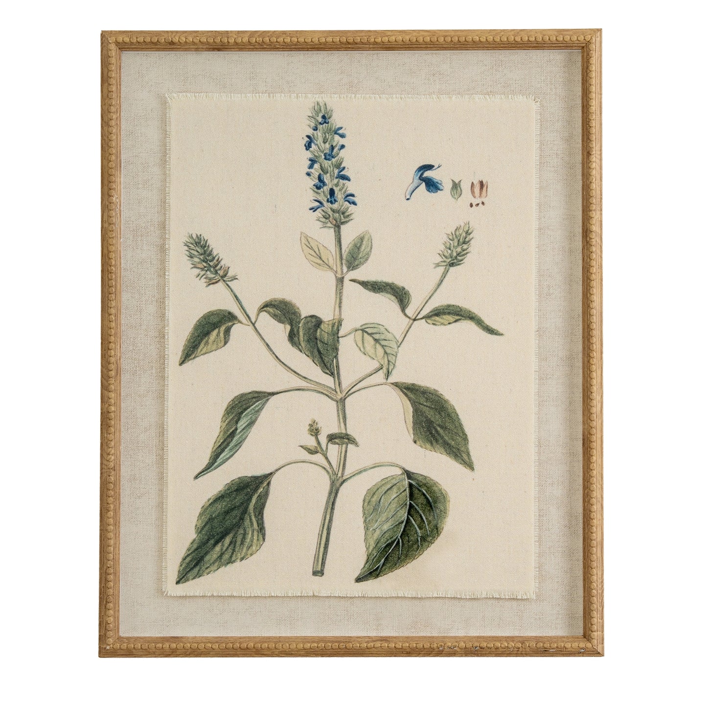 Flora & Fauna Collection Salvia On Linen In Beaded Frame