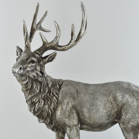 standing-gazing-stag-detailed