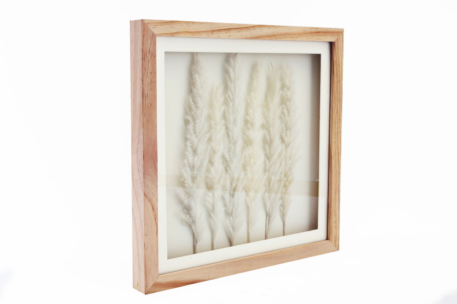 White Pampas In Square Frame 31cm