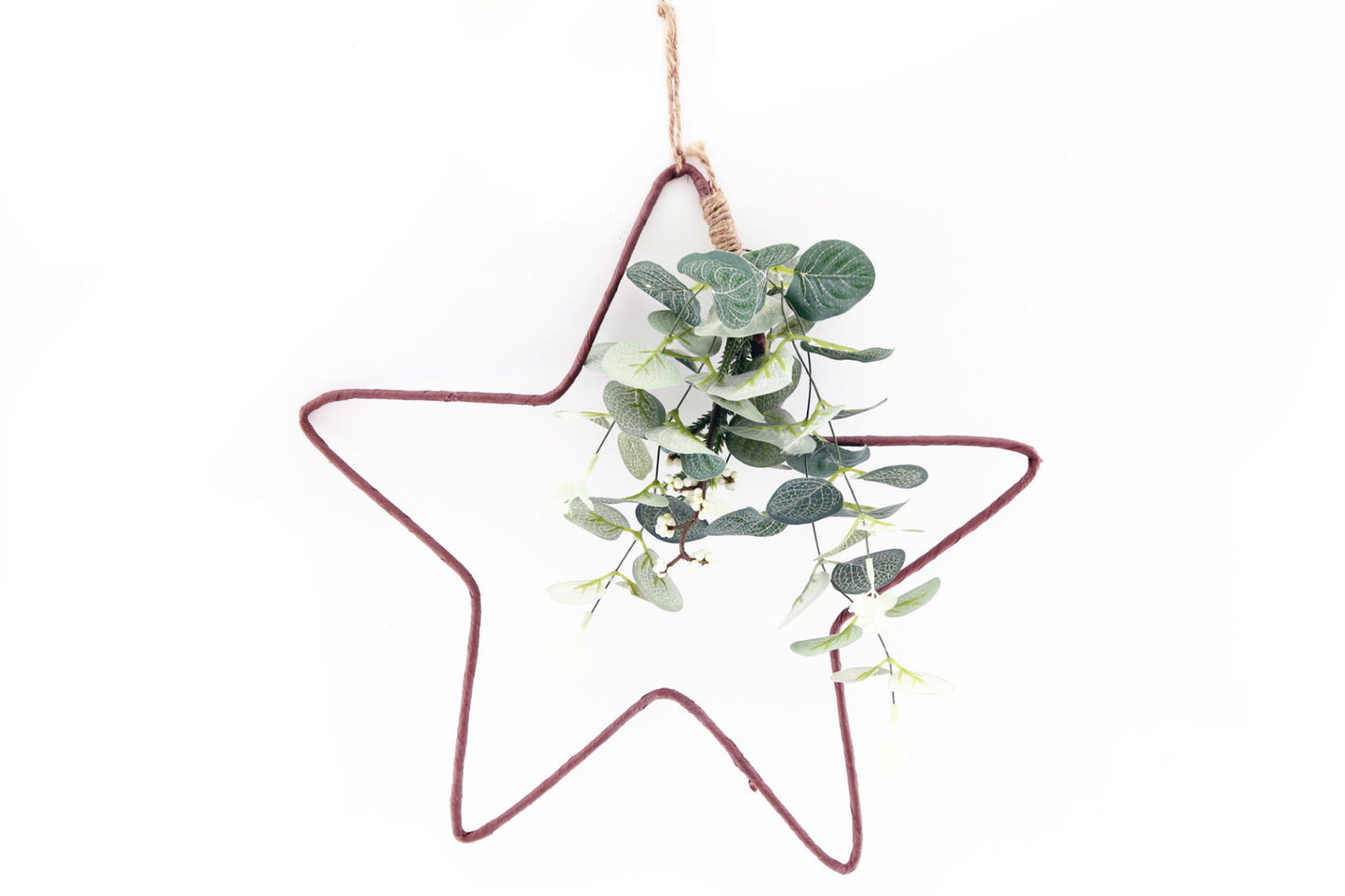 Hanging Wire Star with Eucalyptus Detail