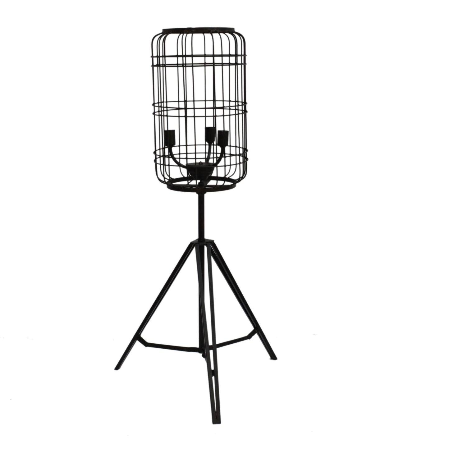 Black & Rusty Metal Caged Floor Lamp