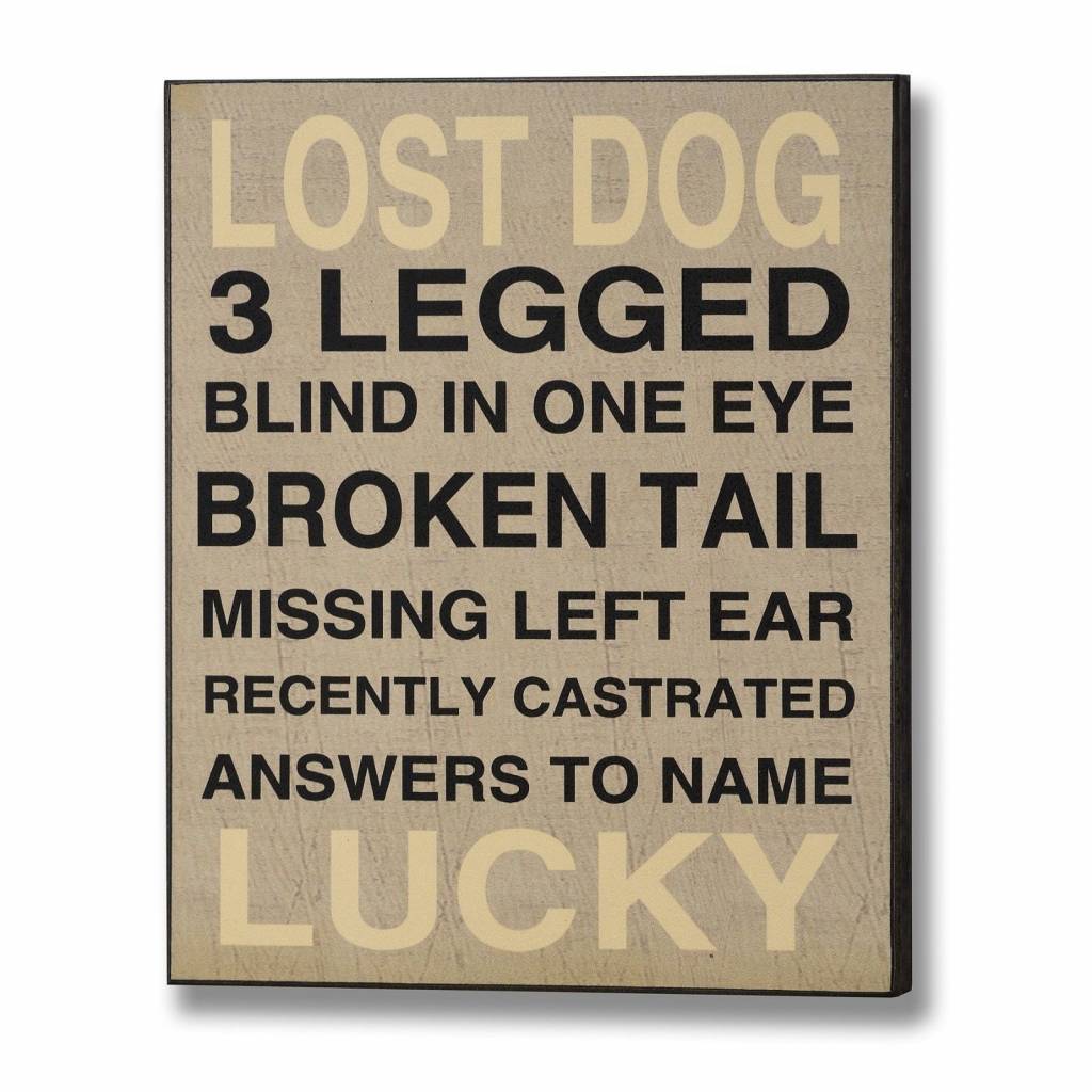 Humorous-plaque-lost-dog 