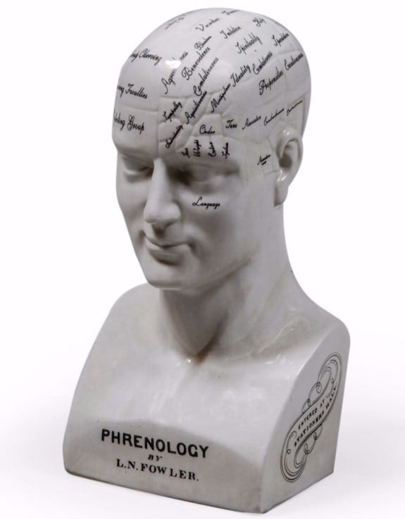 Large Ceramic Phrenology Head