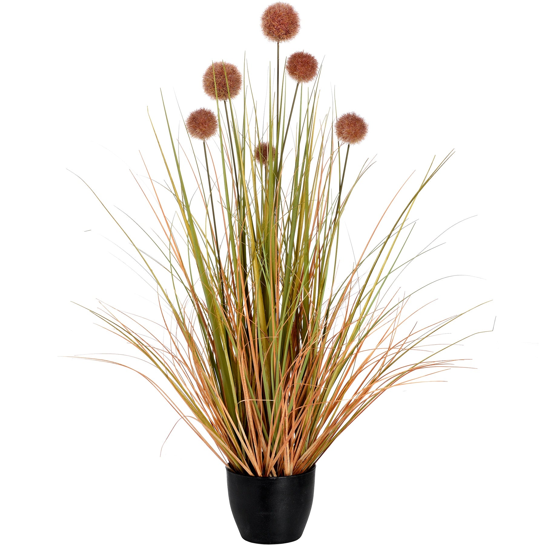 Pom Pom Grass Pot