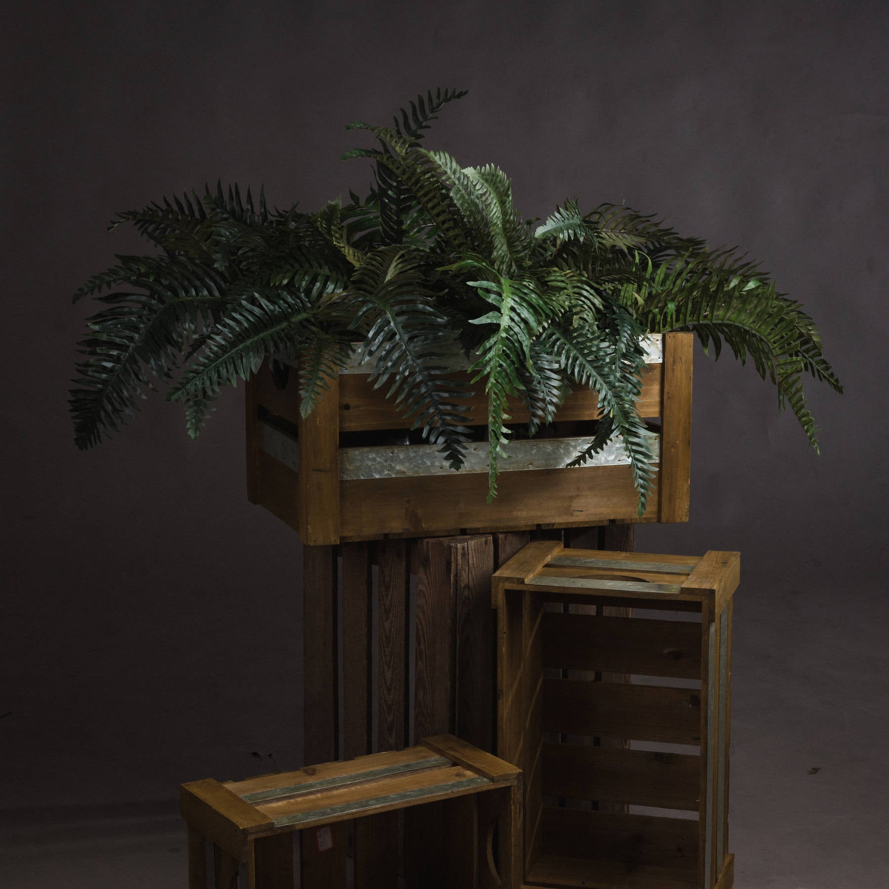 Fern-bunch-decorative-inspiration