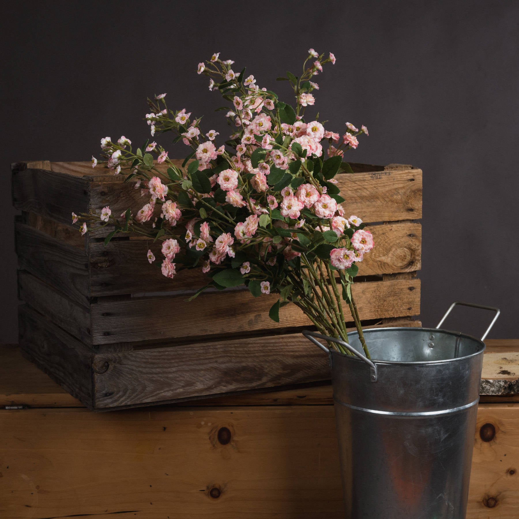 Pink Wild Meadow Rose