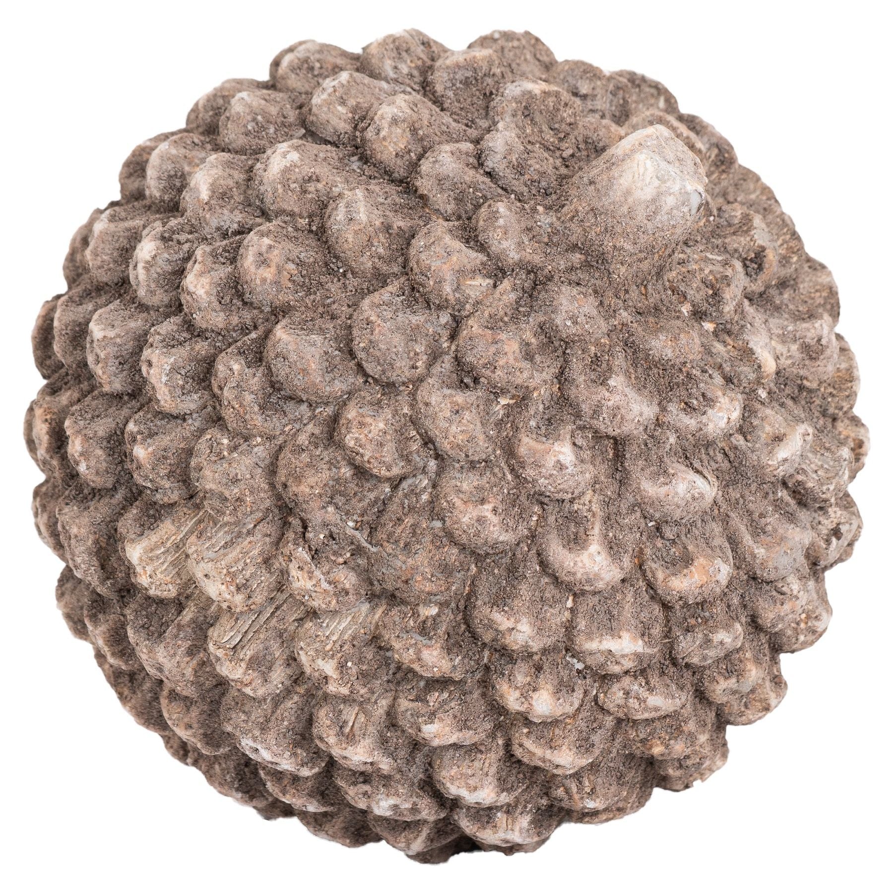 Small Stone Pinecone