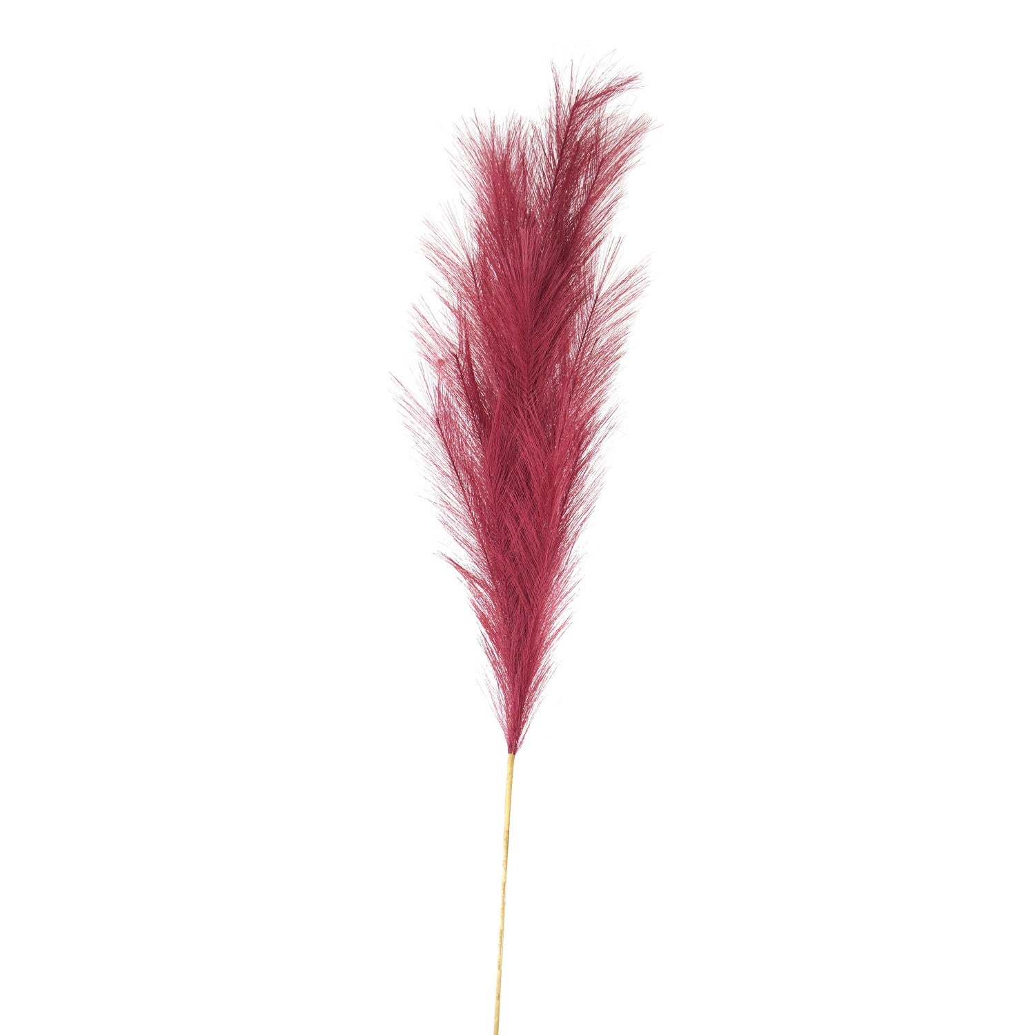 Scarlet Large Faux Pampas Grass Stem