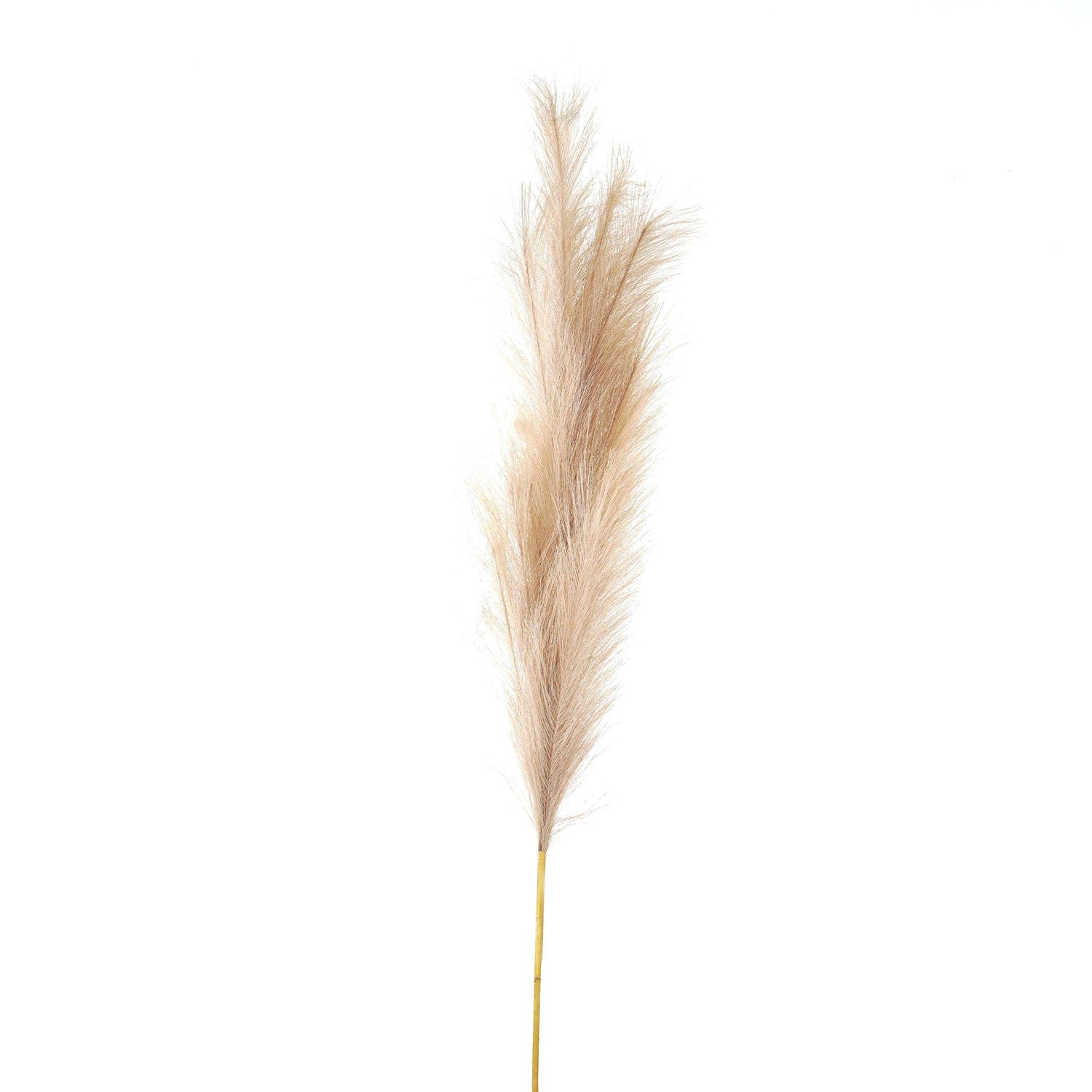 Bleached -large-faux-pampas-grass-stem